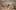 021020_HP_NatGeo_ScientificExposure_tkt