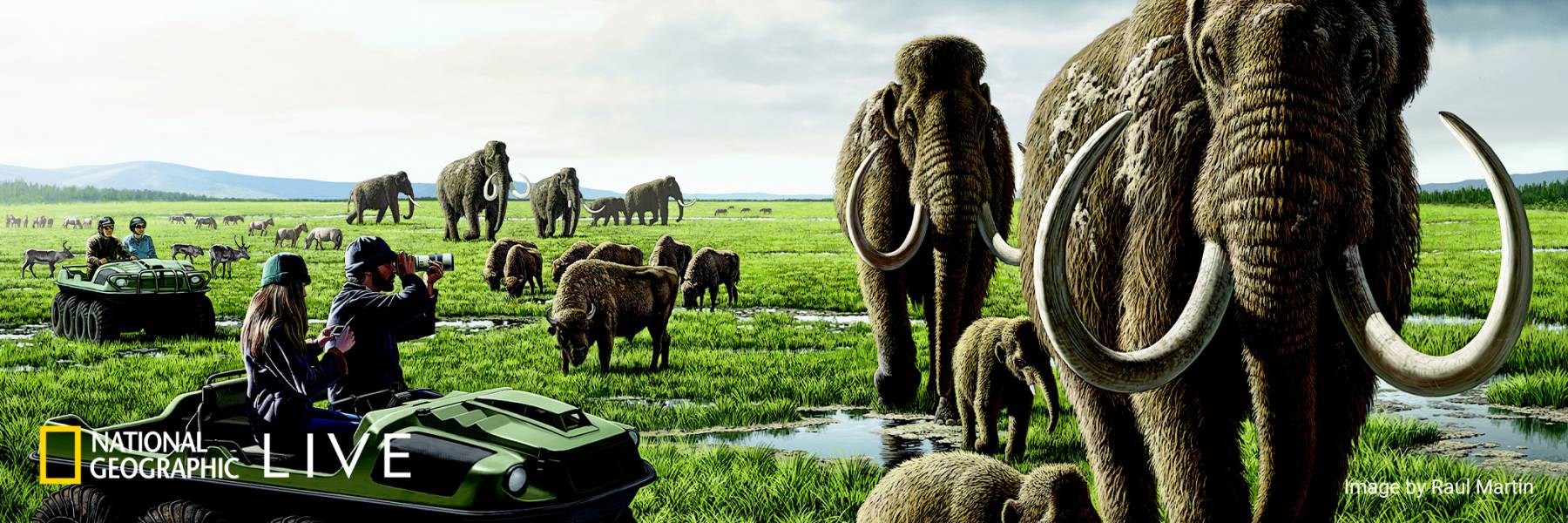 BethShapiro-web-banner